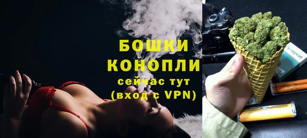 индика Краснослободск