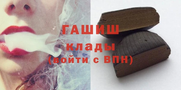 индика Краснослободск