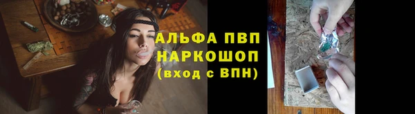 индика Краснослободск