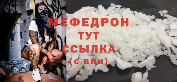 индика Краснослободск