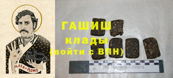 индика Краснослободск