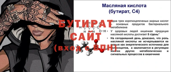 индика Краснослободск