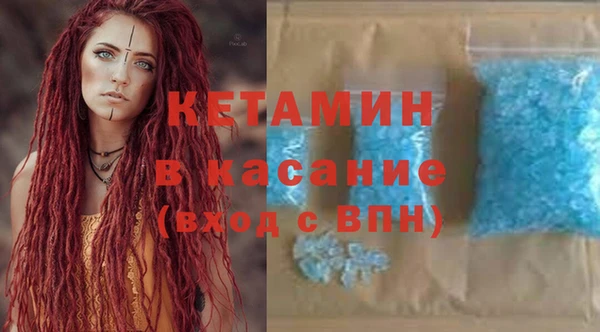 индика Краснослободск
