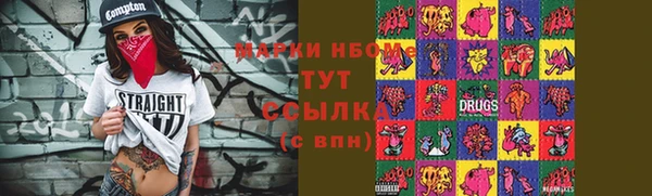 индика Краснослободск