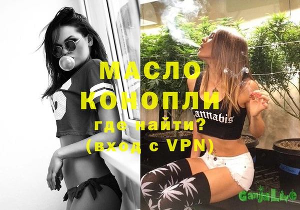 индика Краснослободск