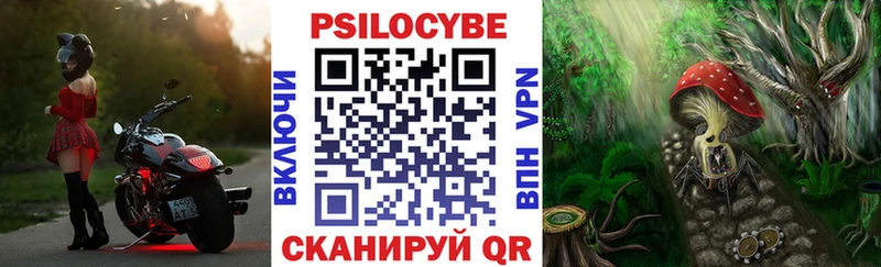 Галлюциногенные грибы прущие грибы  Шатура 