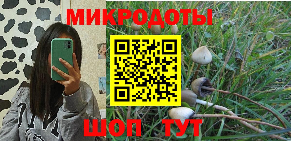 Псилоцибиновые грибы прущие грибы Шатура